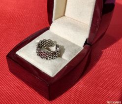 ������� 925  ������  ����: 600 ���