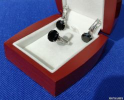 ������� 925  ��������  ����: 1800 ���